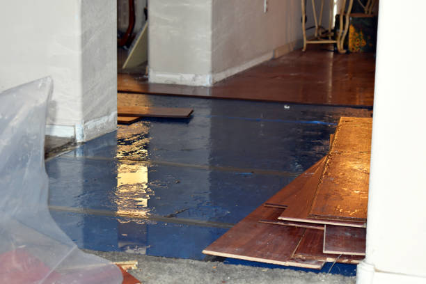 Professional Basement Flood Cleanup technician working in Cressey, CA